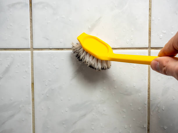 Best Mold Testing  in Granite Hills, CA