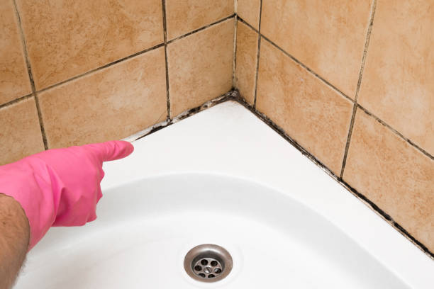 Best Best Mold Removal Companies  in Granite Hills, CA